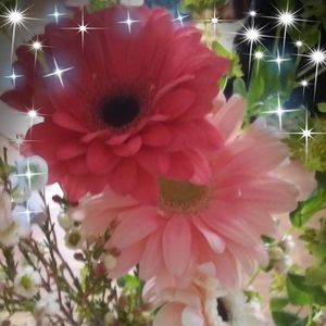 Meet your Posher, Deb